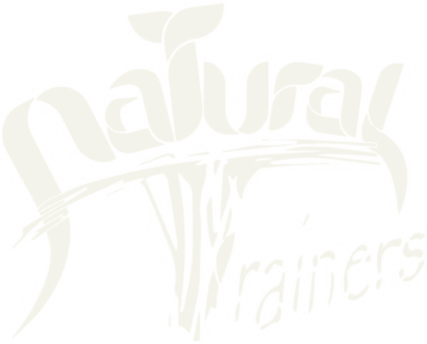Natural Trainers