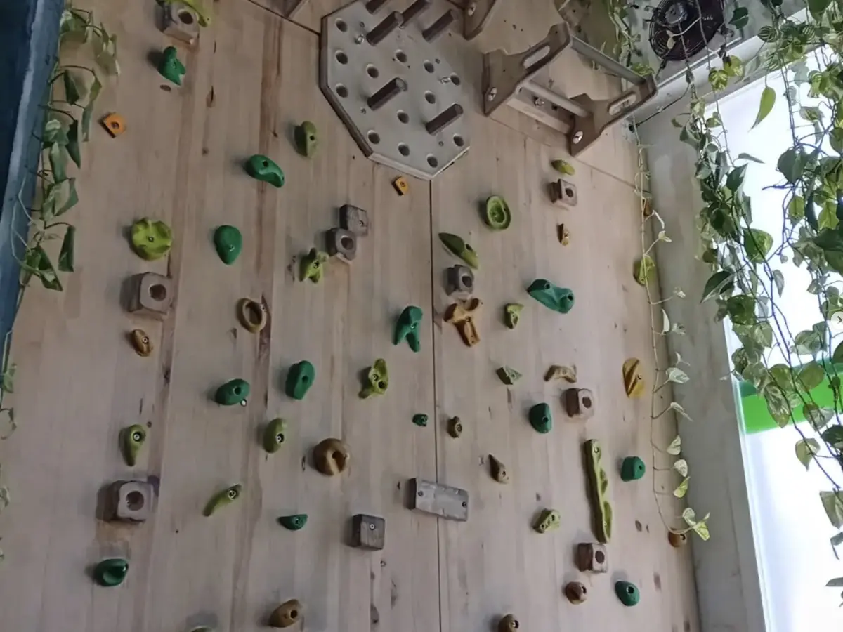 El rocódromo de Natural Trainers: pared de madera con presas verdes y plantas colgando junto a la ventana
